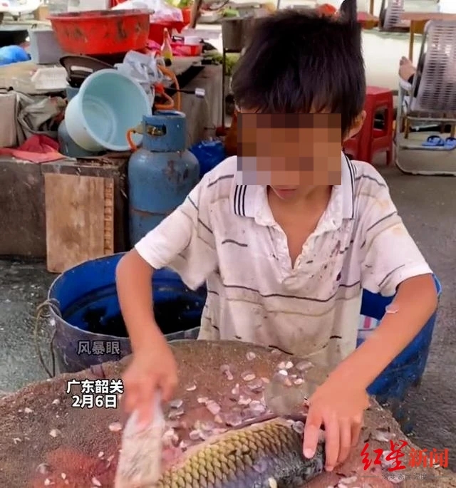 广东11岁男孩街头娴熟杀鱼引关注 官方：视频为暑假拍摄，已上初中